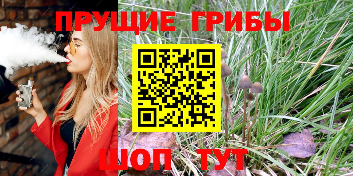 Галлюциногенные грибы мицелий  Вход с VPN  Тайшет 