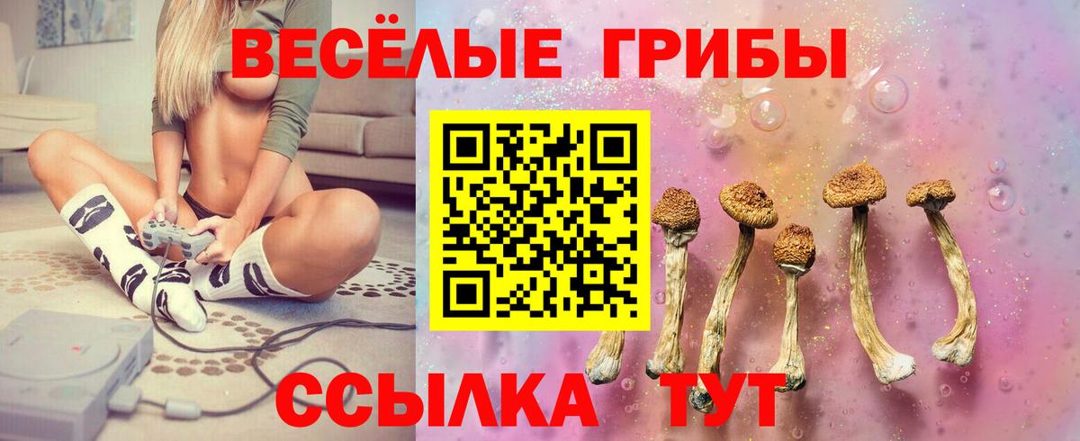 Галлюциногенные грибы прущие грибы Тайшет